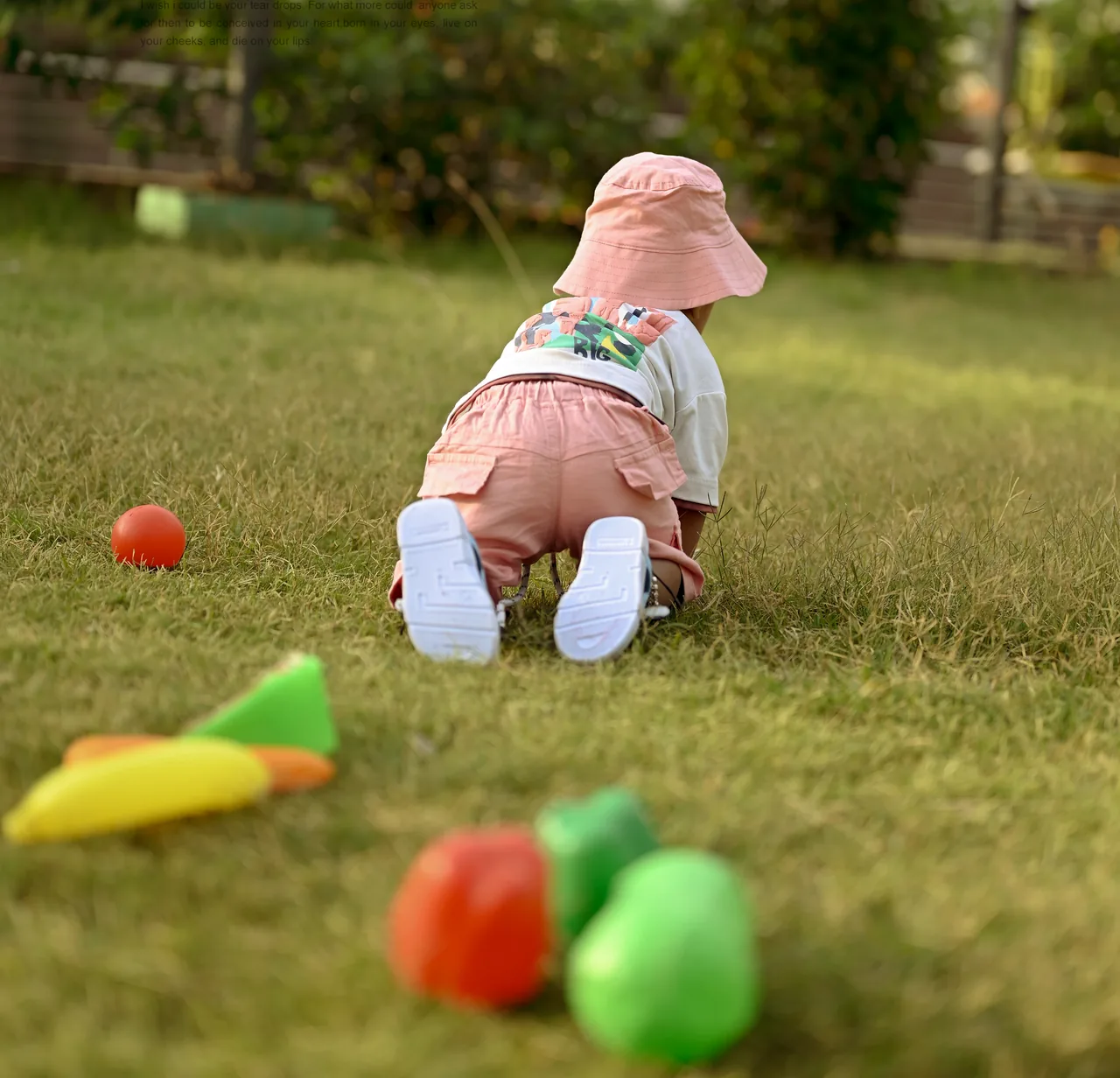 Toddler crawling on the grass beside colourful toys